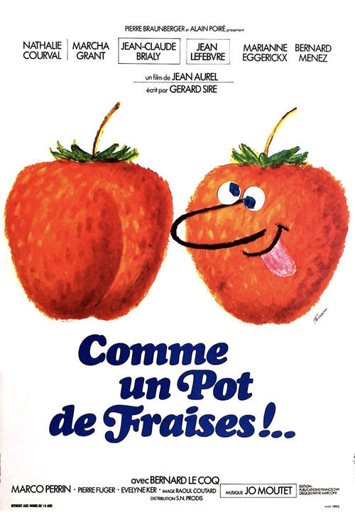 Like a Pot of Strawberries (1974) poster