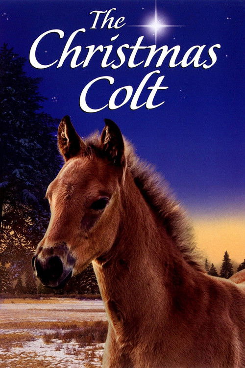 The Christmas Colt (2013) poster