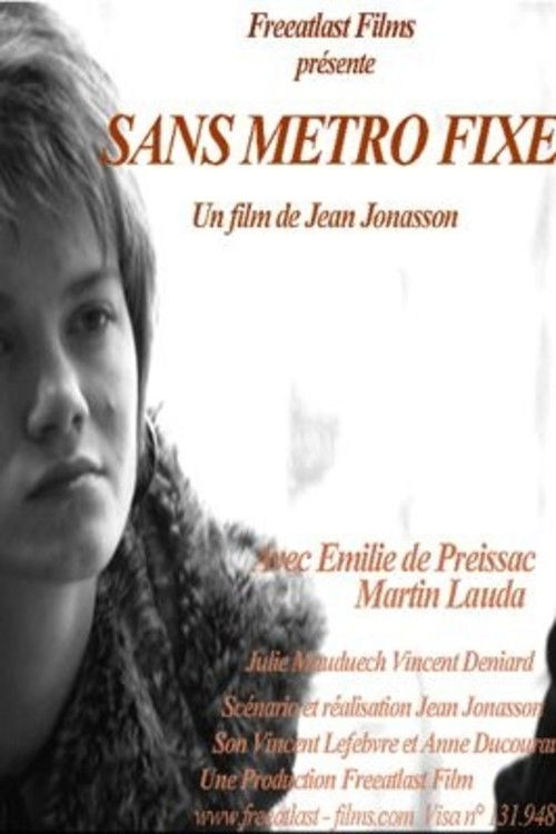 Sans métro fixe (2013) poster