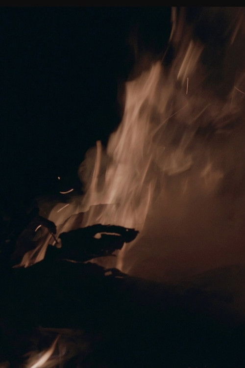 Jiíbie (2019) poster