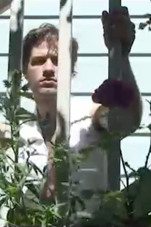 Sunkissed (2019) poster