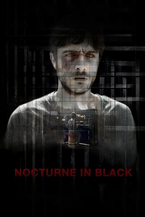 Nocturne in Black (2016) poster