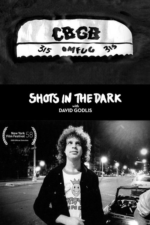 Shots in the Dark with David Godlis (2020) poster