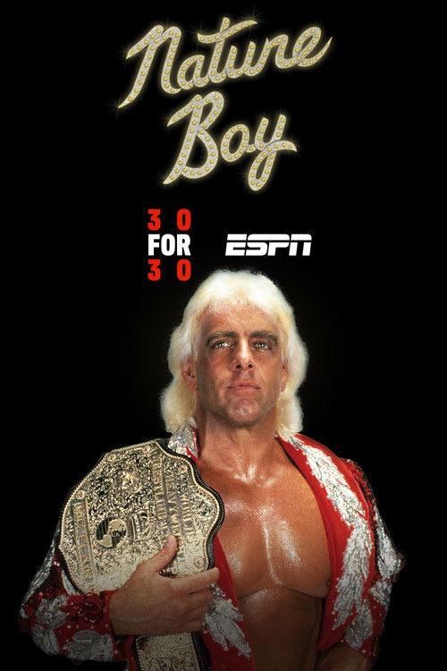 Nature Boy (2017) poster