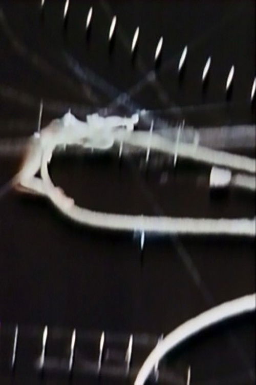 Circus Girls (1970) poster