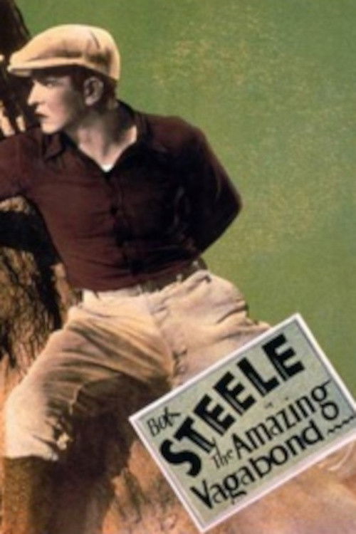 The Amazing Vagabond (1929) poster