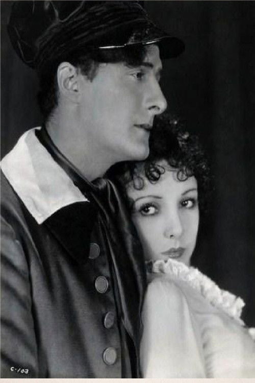 The Red Mark (1928) poster