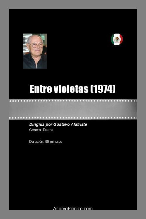 Entre violetas (1974) poster