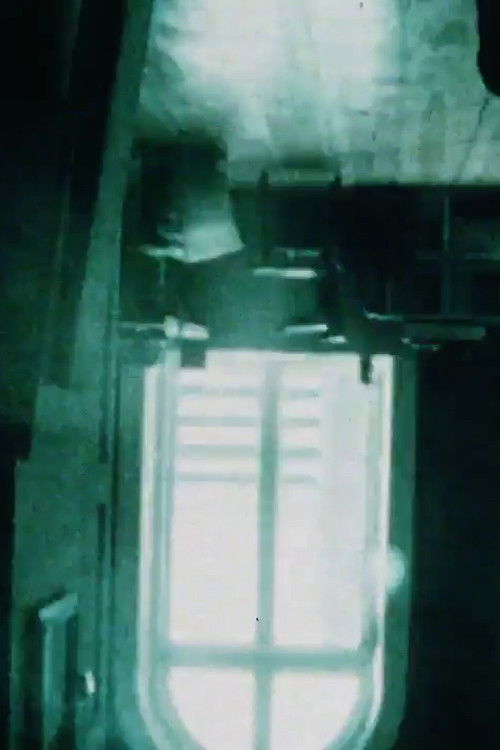 Variant (1973) poster