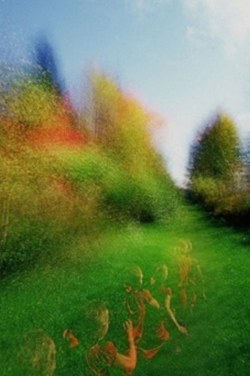 Brouillard #14 (2013) poster