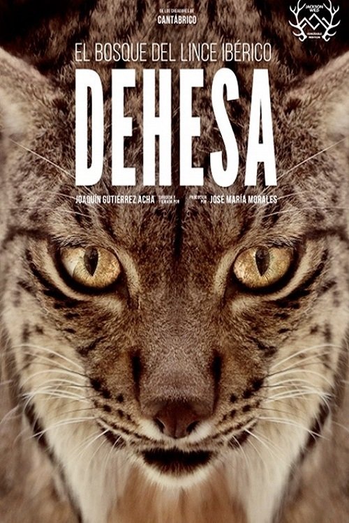 Dehesa: el bosque del lince ibérico (2020) poster