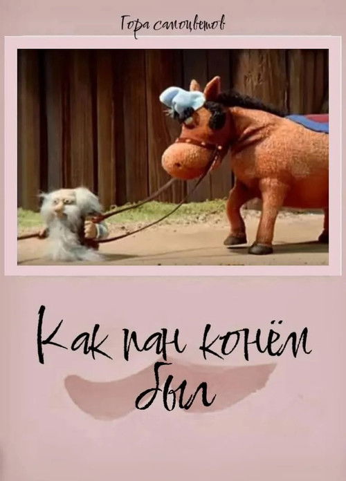 Как пан конем был... (2004) poster