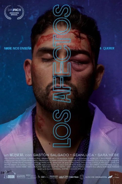 Los afectos (2024) poster
