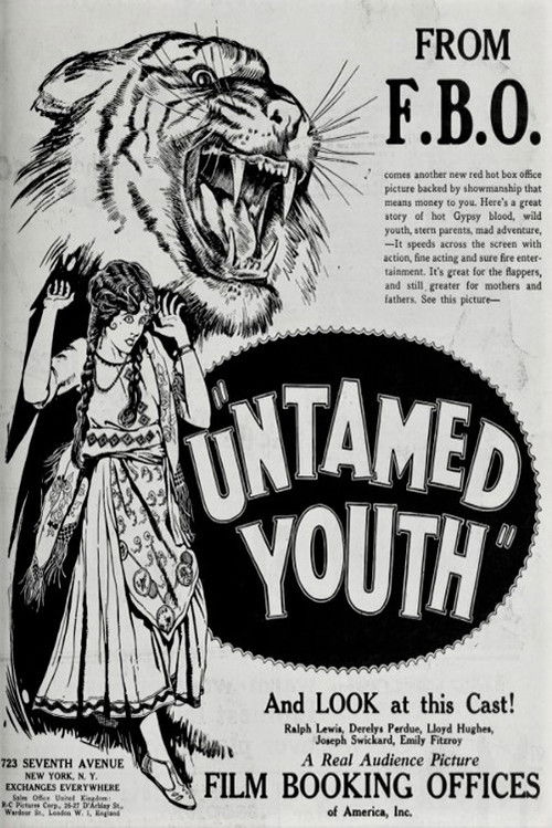 Untamed Youth (1924) poster