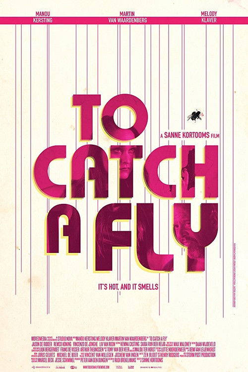 To Catch a Fly (2017) poster