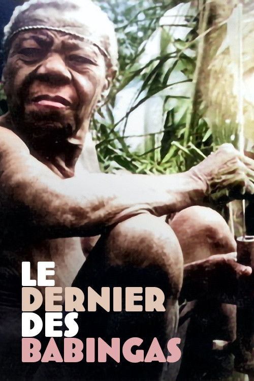 The Last of the Babingas (1990) poster