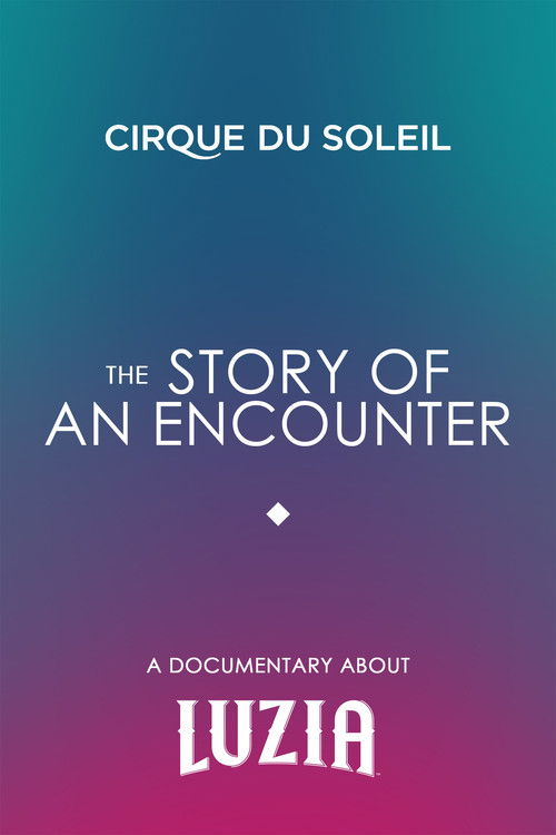 The Story Of An Encounter (2016) poster