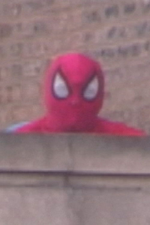 Comes Great Responsibility (2004) poster