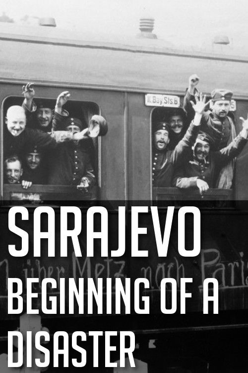Sarajevo: Beginning of a Disaster (2014) poster