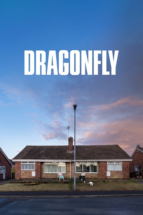 Dragonfly (2025) poster