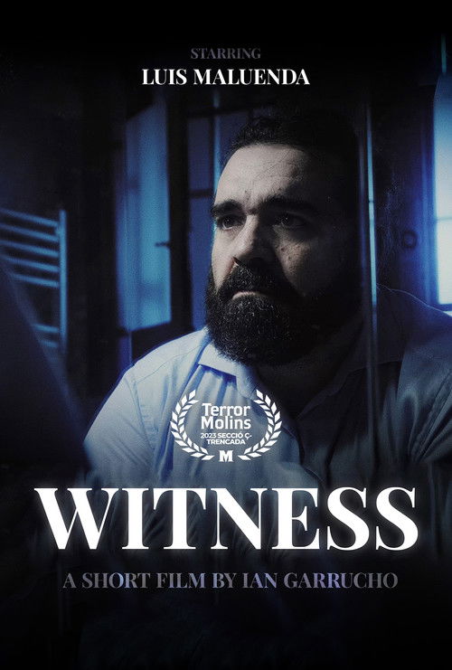 Witness (2022) poster