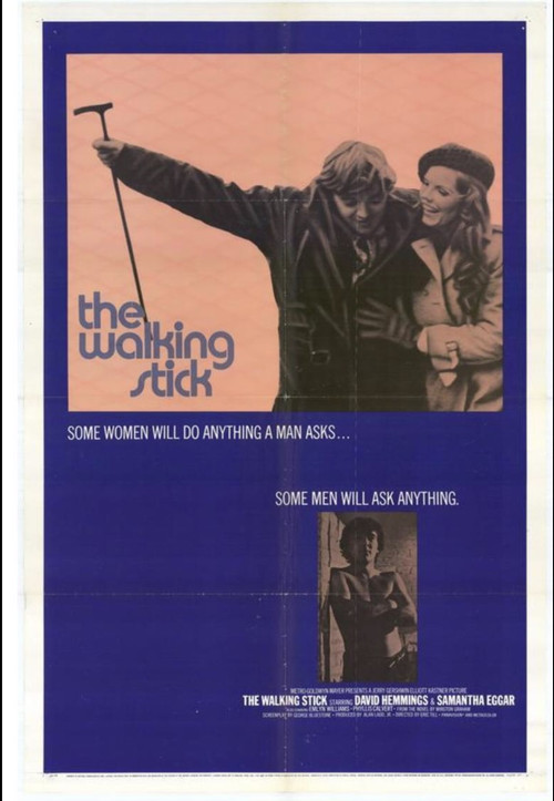 The Walking Stick (1970) poster