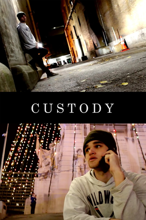 Custody (2016) poster