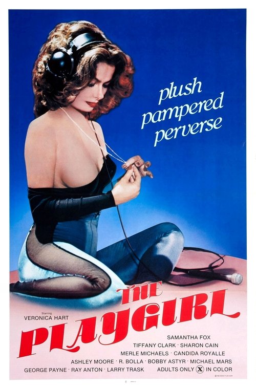 The Playgirl (1983) poster