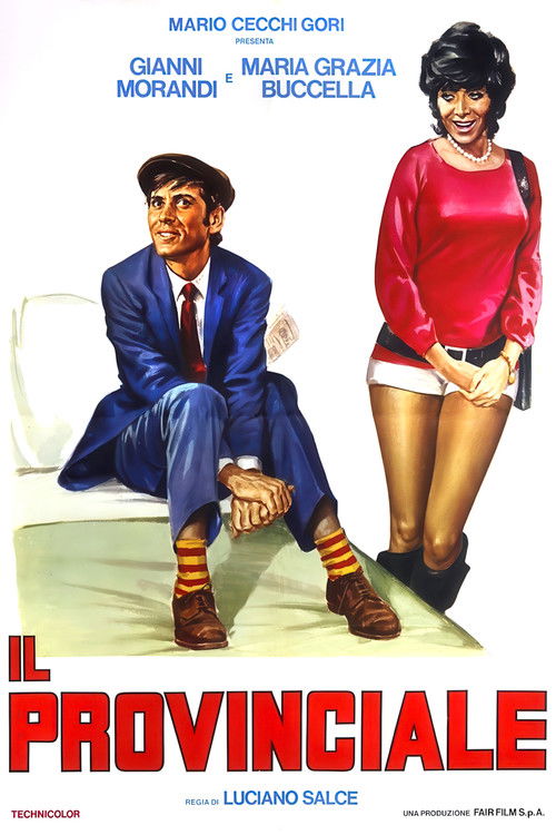 Il provinciale (1971) poster