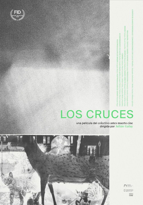 Los cruces (2025) poster