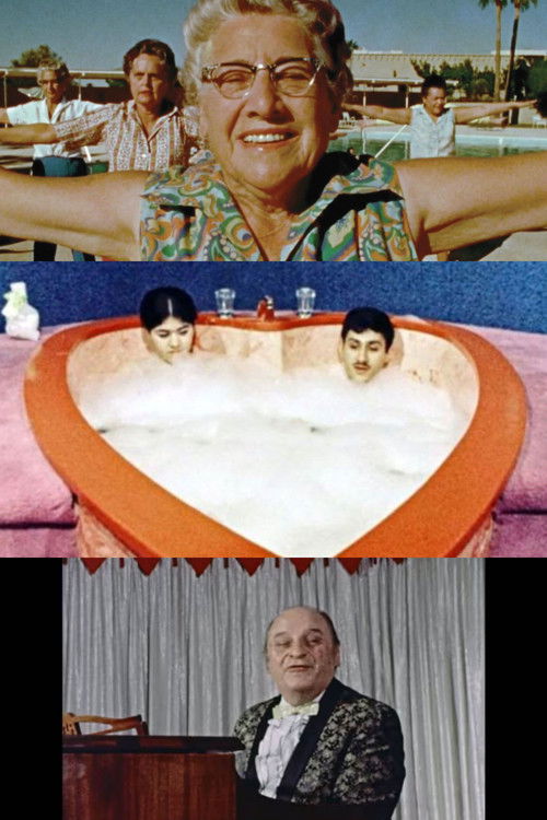 America: Everything You’ve Ever Dreamed Of (1973) poster