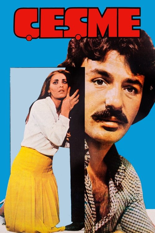 Çeşme (1977) poster