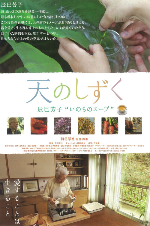 Drops of Heaven (2012) poster