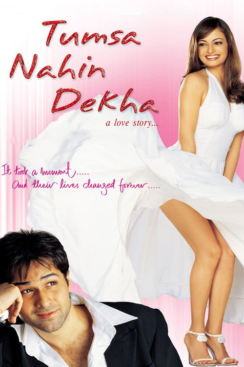 Senin Gibisini Hiç Görmedim Bir Aşk Hikayesi / Tumsa Nahin Dekha: A Love Story (2004) poster