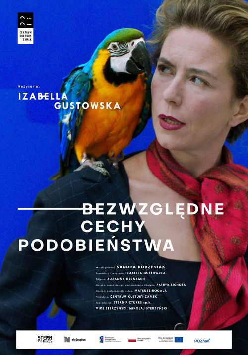 Absolute Similarities (2024) poster