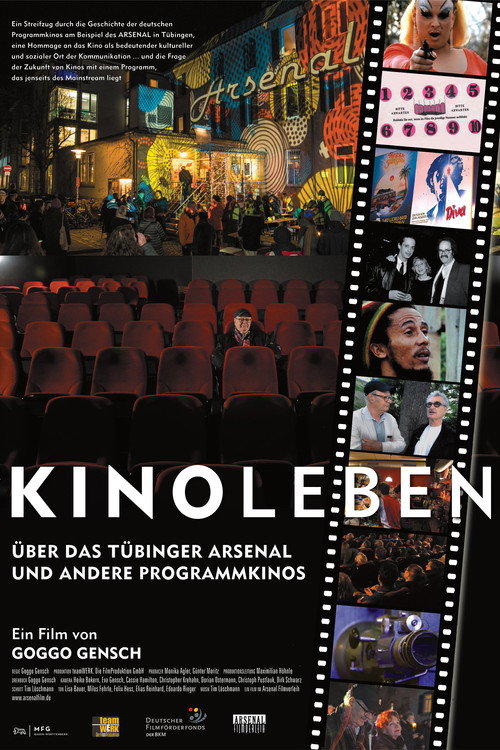 Kinoleben – Über das Arsenal in Tübingen und weitere Programmkinos (2026) poster
