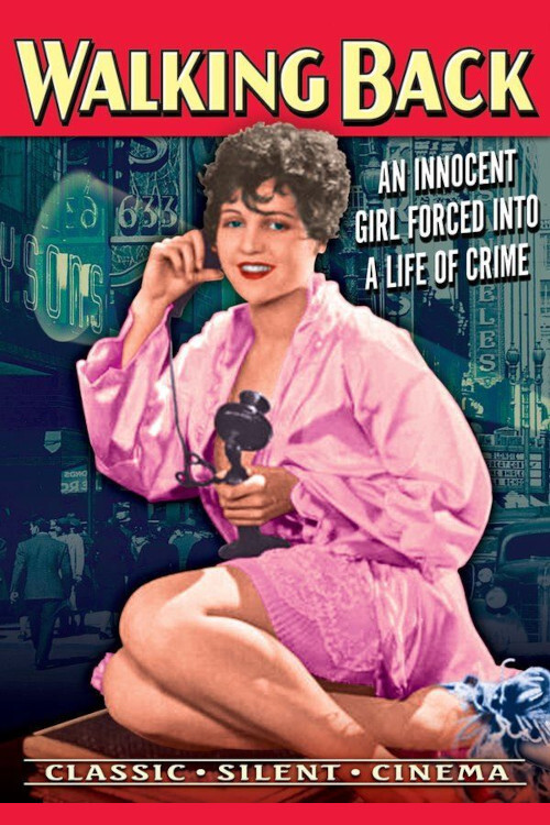 Walking Back (1928) poster