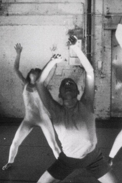 Phase Shifting Index (2020) poster