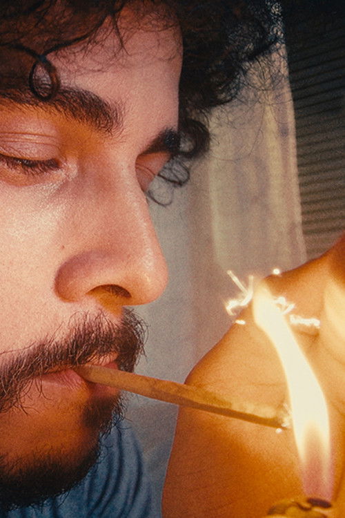 Tem Dia Que De Noite É Foda! (2026) poster