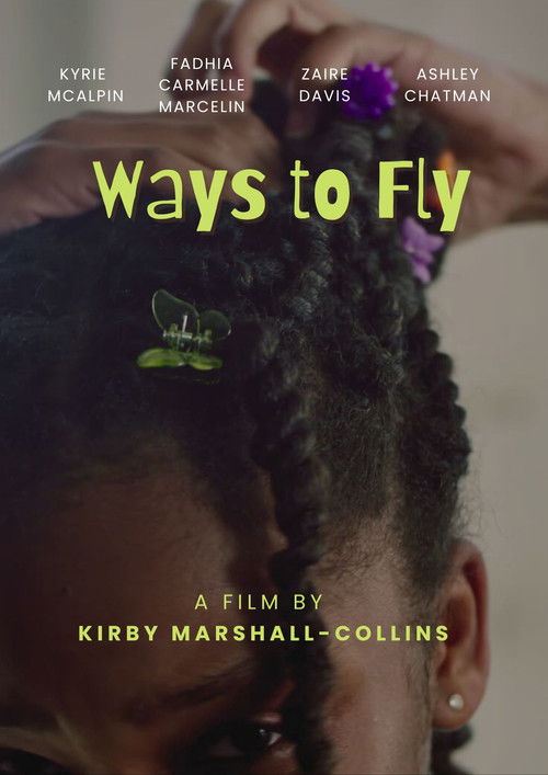 Ways to Fly (2025) poster