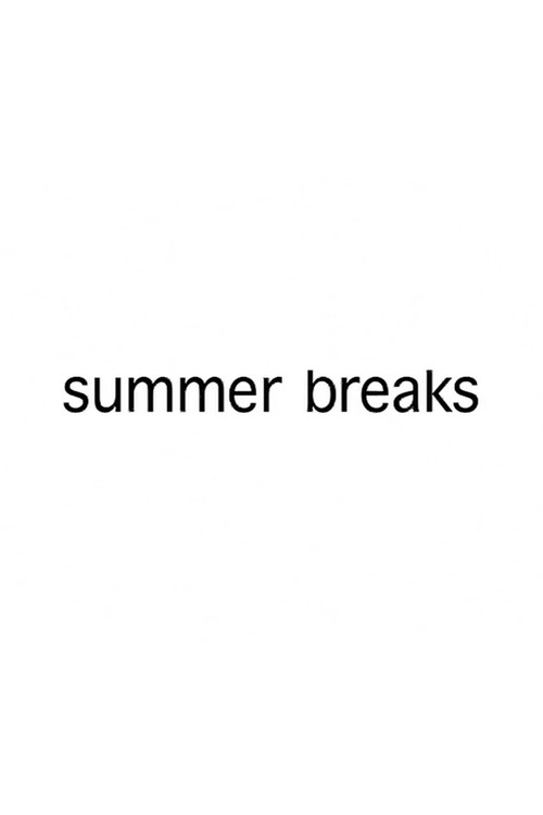 Summer Breaks (2008) poster