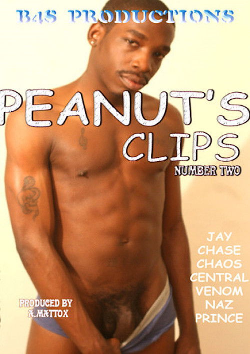 Peanut's Clips 2 (2008) poster