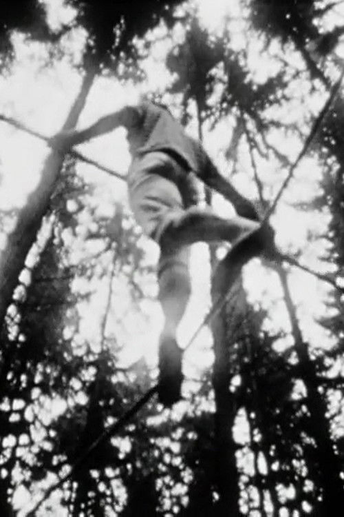 Balance (1965) poster