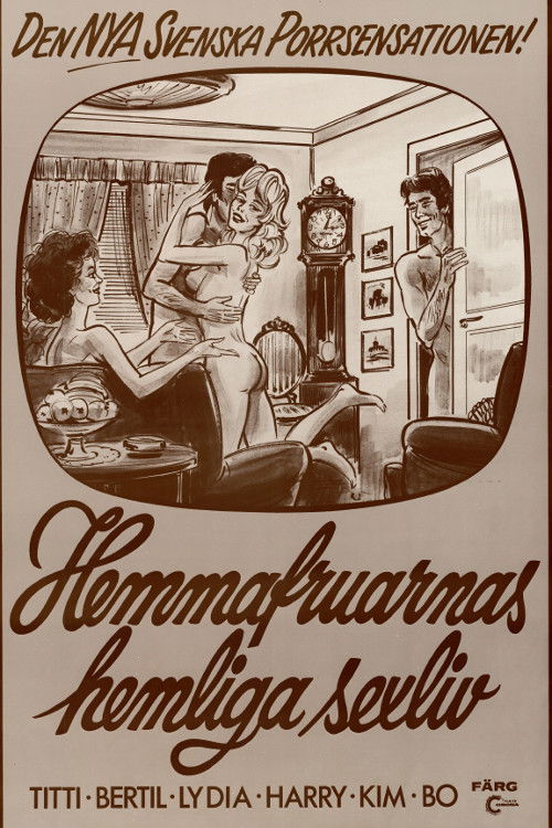 The Secret Sex Lives of Housewives (1981) poster