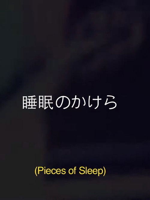 Pieces Of Sleep: The 1993 Japan Tour Re-Imagined (2020) poster