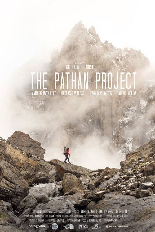 The Pathan Project (2019) poster
