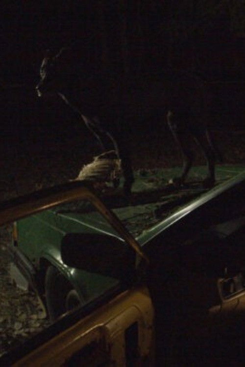 Nothing Runs Like a Deere (2023) poster