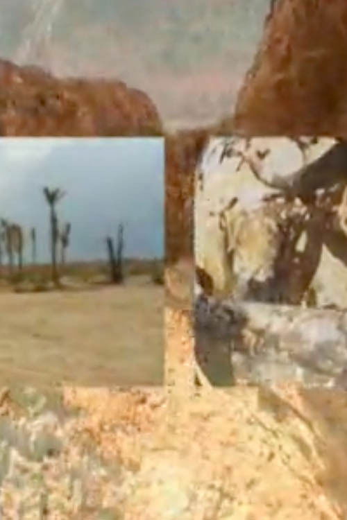 Scorched (2010) poster