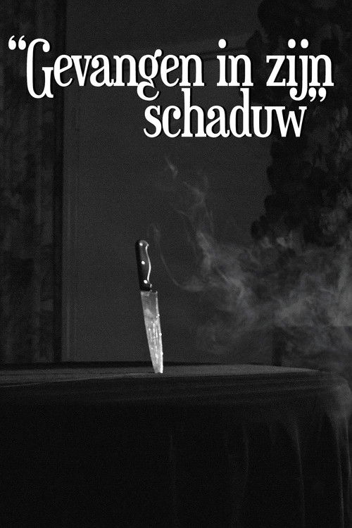 Gevangen In Zijn Schaduw (2022) poster