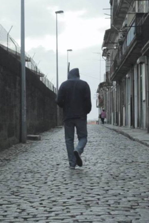 Video Surveillance (2012) poster